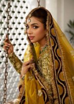 My Fashion Road Maryam Hussain Gulaab Wedding Chiffon Collection 2022 | Mehndi