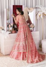 My Fashion Road Afrozeh Starlet Luxury Organza Unstitched Collection 2023 | Flamingo Flair