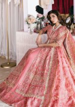 My Fashion Road Afrozeh Starlet Luxury Organza Unstitched Collection 2023 | Flamingo Flair