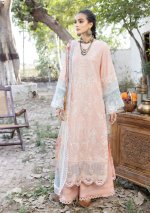 My Fashion Road Tehzeeb by Riaz Arts Embroidered Lawn Collection 2023 | TL-41