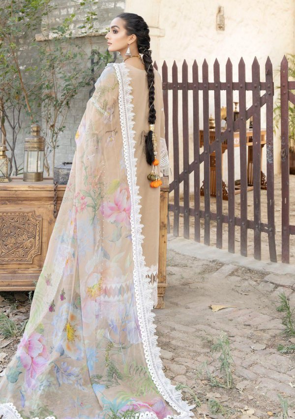 My Fashion Road Tehzeeb by Riaz Arts Embroidered Lawn Collection 2023 | TL-42