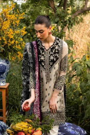 My Fashion Road Sana Safinaz Muzlin Unstitched Lawn | Vol 2 2023 | 3B