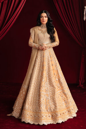 My Fashion Road Qalamkar Heer Ranjha Luxury Festive Unstitched Collection 2023 | HR-01 FARIYA
