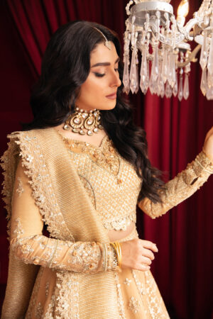 My Fashion Road Qalamkar Heer Ranjha Luxury Festive Unstitched Collection 2023 | HR-01 FARIYA