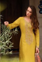 My Fashion Road Varsha Aarna Winter Wear Exclusive Pashmina Suit Collection | AN-01