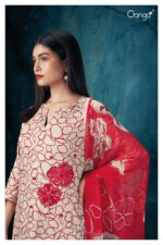 My Fashion Road Ganga Quinn Premium Collection Fancy Pashmina Suits | S2071-B