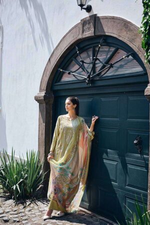 My Fashion Road Aiqa Raghbat Pure Velvet Pakistani Style Designer Dress | 9001