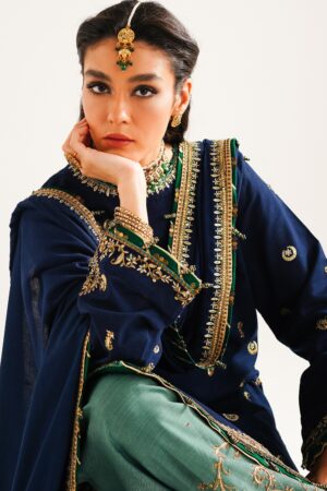 My Fashion Road Zara Shahjahan Winter Shawl 2023 | WS23-D1