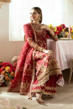 My Fashion Road Qalamkar Wedding & Bridal Winter Unstitched Collection | DN-03 ZAINA