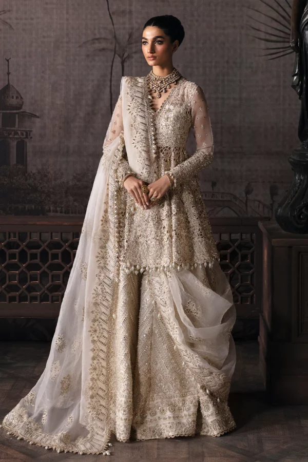 Pakistani Anarkali Suits Collection Houston Dallas Texas USA Wedding  Anarkali Suits Special Occasion