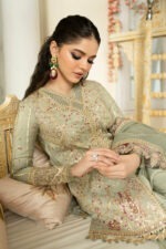 My Fashion Road Qalamkar Wedding & Bridal Winter Unstitched Collection | DN-06 FARIZA