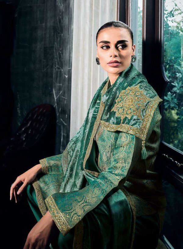 My Fashion Road Varsha Kaira Panjabi Designs Velvet Designer Suit | KR-04