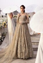 My Fashion Road Nureh Secret Garden Love Story Unstitched Luxury Formals’24 | NL-65 CLARA