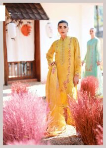 My Fashion Road Varsha The Spring Day Exclusive Organza Dress Collection | TSD-03