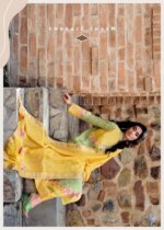 My Fashion Road Varsha Baahar Designer Organza Casual Wear Dress | BH-04