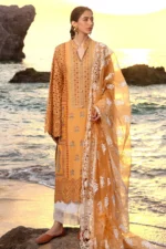My Fashion Road Mohsin Naveed Ranjha Festive Lawn Unstitched Collection 2024 | NARGIS KA PHOOL