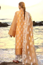 My Fashion Road Mohsin Naveed Ranjha Festive Lawn Unstitched Collection 2024 | NARGIS KA PHOOL
