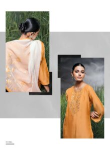 My Fashion Road Ganga Vashti Designer Silk Ladies Dress | C1864