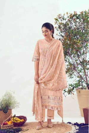 My Fashion Road Jay Vijay Gulroz Ethnic Wear Fancy Cotton Suit | GR 9205