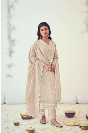 My Fashion Road Jay Vijay Mogra Exclusive Fancy Cotton Dress | 9044