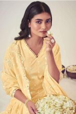 My Fashion Road Jay Vijay Mogra Exclusive Fancy Cotton Dress | 9046