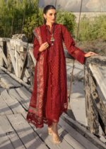 My Fashion Road Crimson Luxury Unstiched Lawn Collection 2024 | Sarfaraz | Dancing Paisleys – Ruby My Fashion Road Crimson Luxury Unstiched Lawn Collection 2024 | Sarfaraz | Dancing Paisleys – Ruby