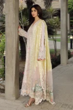 My Fashion Road Qalamkar Festive Unstitched Lawn Suit 2024 | PS-03