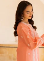 My Fashion Road Gul Ahmed Summer Story Vol 2 Unstitched Collection 2024  | TL 42061