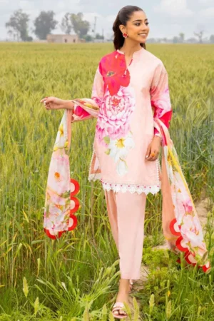 My Fashion Road Gul Ahmed Summer Story Vol 2 Unstitched Collection 2024  | CL 42046 B