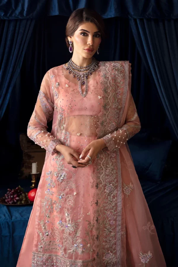 My Fashion Road Elanora By Nureh Embroidered Chiffon Collection2024 Vol 2 | NEL-51