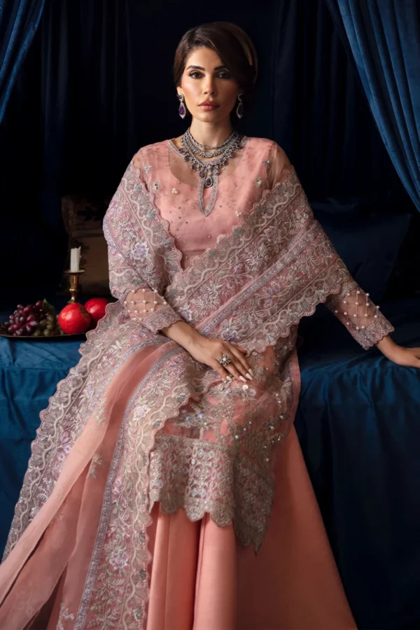 My Fashion Road Elanora By Nureh Embroidered Chiffon Collection2024 Vol 2 | NEL-51