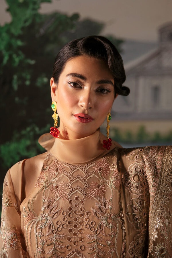 My Fashion Road La Fuchsia Festive Unstitched Collection 2024 by Afrozeh | Reese