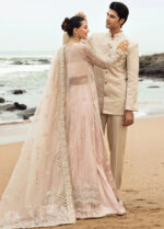 My Fashion Road Dastangoi by Afrozeh Wedding Formals Unstitched Collection 2024 | AWE-5