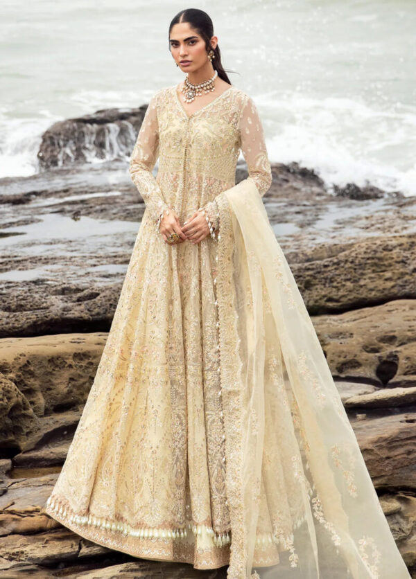 My Fashion Road Dastangoi by Afrozeh Wedding Formals Unstitched Collection 2024 | AWE-6
