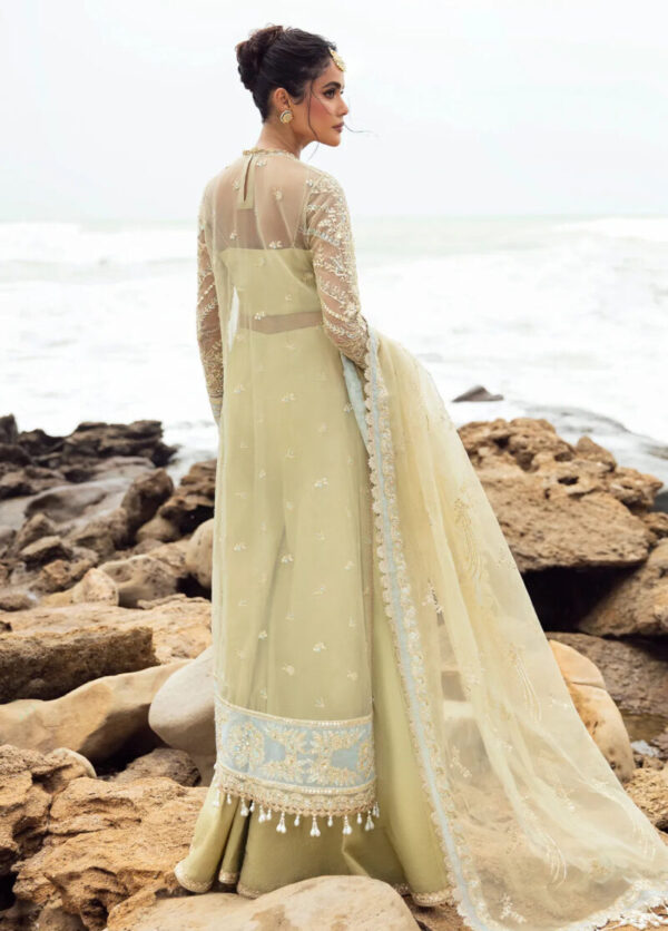 My Fashion Road Dastangoi by Afrozeh Wedding Formals Unstitched Collection 2024 | AWE-9