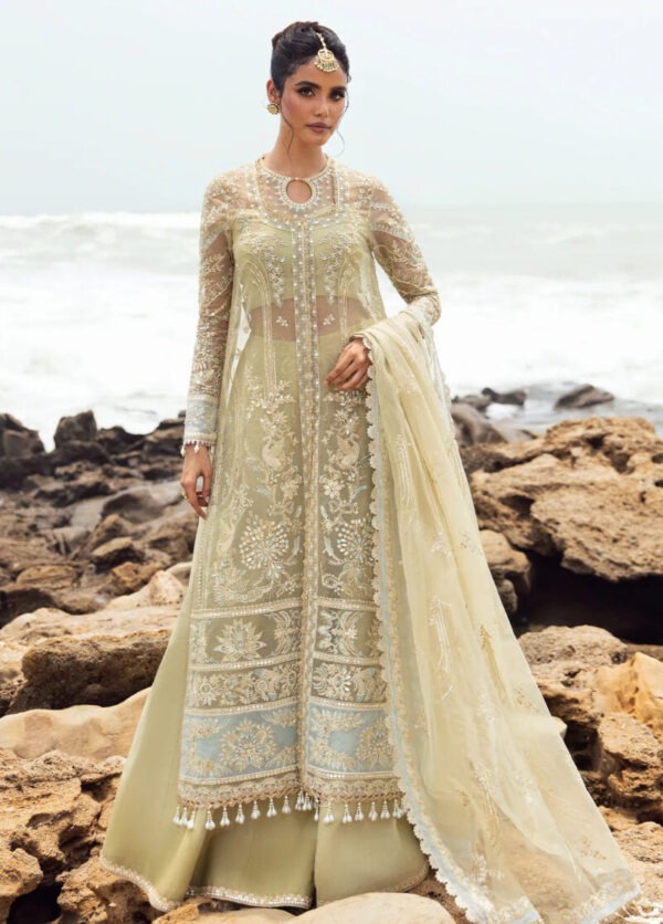 My Fashion Road Dastangoi by Afrozeh Wedding Formals Unstitched Collection 2024 | AWE-9