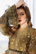 My Fashion Road MARIA.B Chiffons Unstitched Collection 2024 | MPC-24-108
