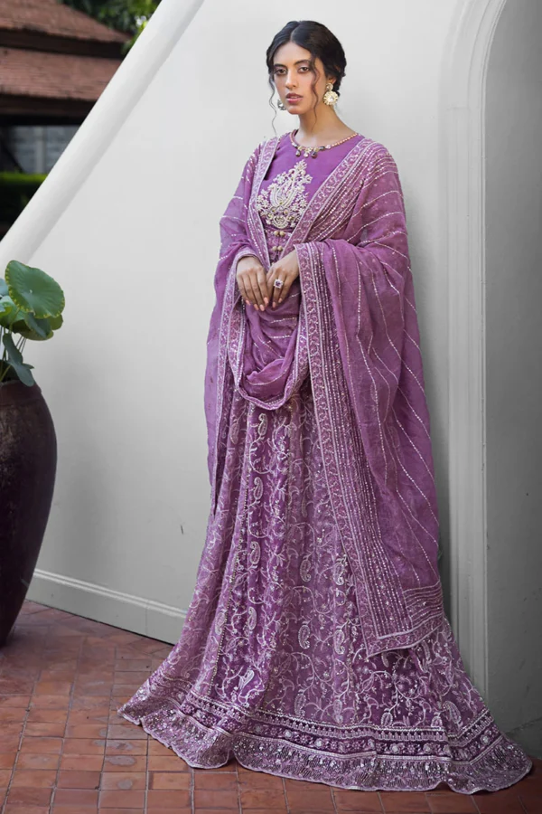 My Fashion Road Mushq Roohi Party Wear Unstitched Collection 2024 | Naina