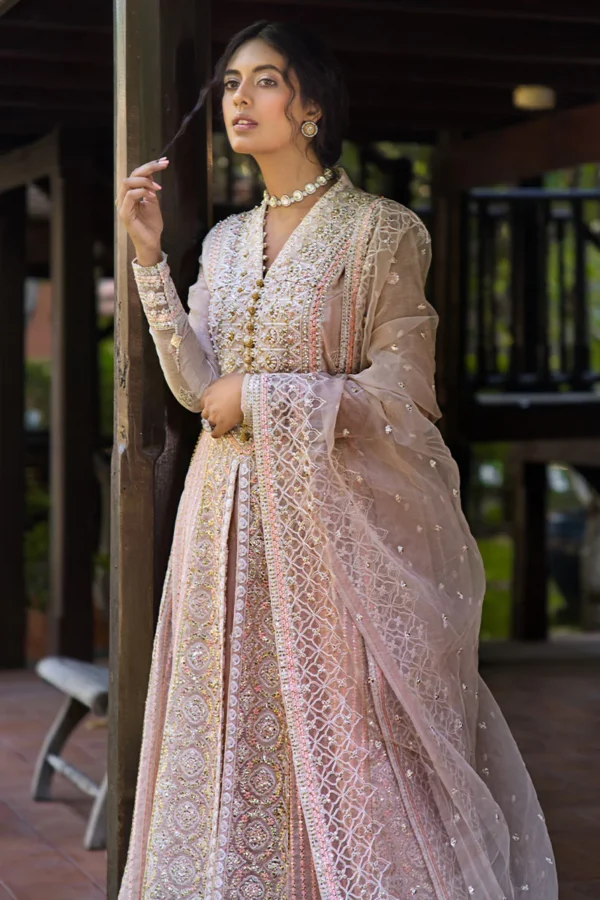 My Fashion Road Mushq Roohi Party Wear Unstitched Collection 2024 | Anika