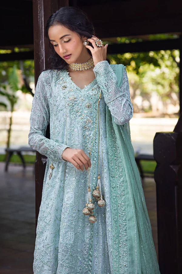 My Fashion Road Mushq Roohi Party Wear Unstitched Collection 2024 | Diya