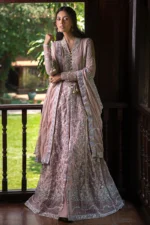 My Fashion Road Mushq Roohi Party Wear Unstitched Collection 2024 | Janvi