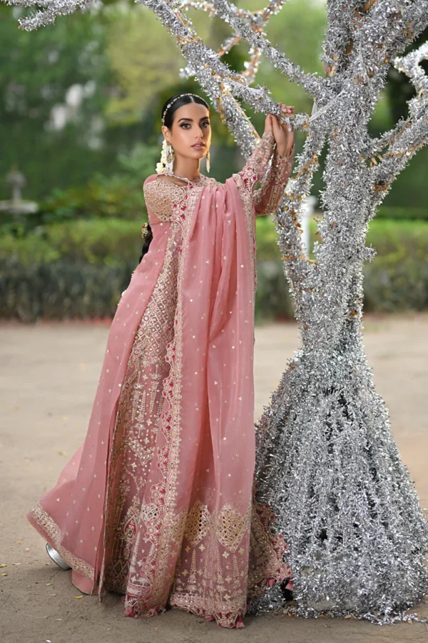 My Fashion Road Qalamkar Wedding Formals | Bridal Collection 2024 | RF-02