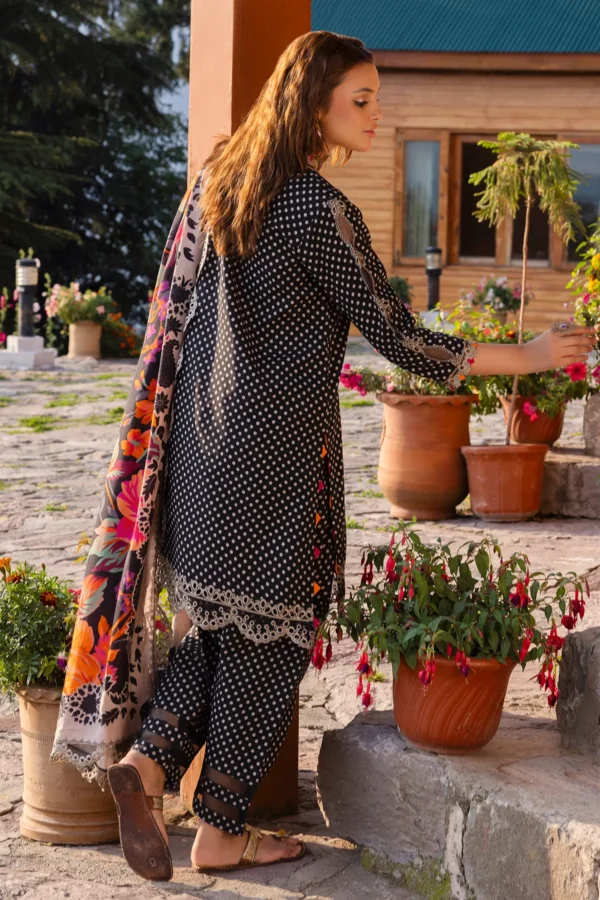 My Fashion Road Aniq Charizma Fall Unstitched Winter Collection 2024 | ANW4-01