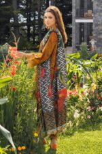 My Fashion Road Aniq Charizma Fall Unstitched Winter Collection 2024 | ANW4-02