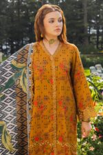 My Fashion Road Aniq Charizma Fall Unstitched Winter Collection 2024 | ANW4-02
