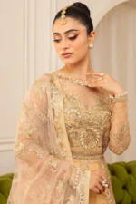 My Fashion Road Mushq Hemline Aura Debut Wedding Unstitched 2024 | Chamois