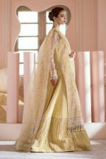 My Fashion Road Luminara Wedding by Alizeh Unstitched Collection 2024 | Leia