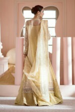 My Fashion Road Luminara Wedding by Alizeh Unstitched Collection 2024 | Leia