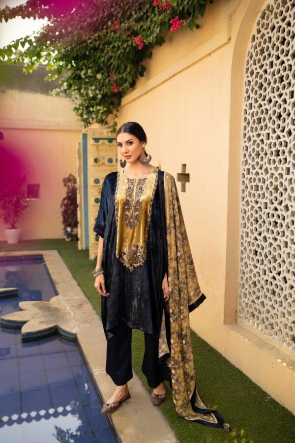 My Fashion Road Naariti Chintz Velvet Winter Unstitched Collection Ladies Suit – B