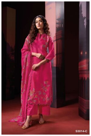 My Fashion Road Ganga Fashion Shwe Fancy Organza Silk Ladies Suit | S3014-C